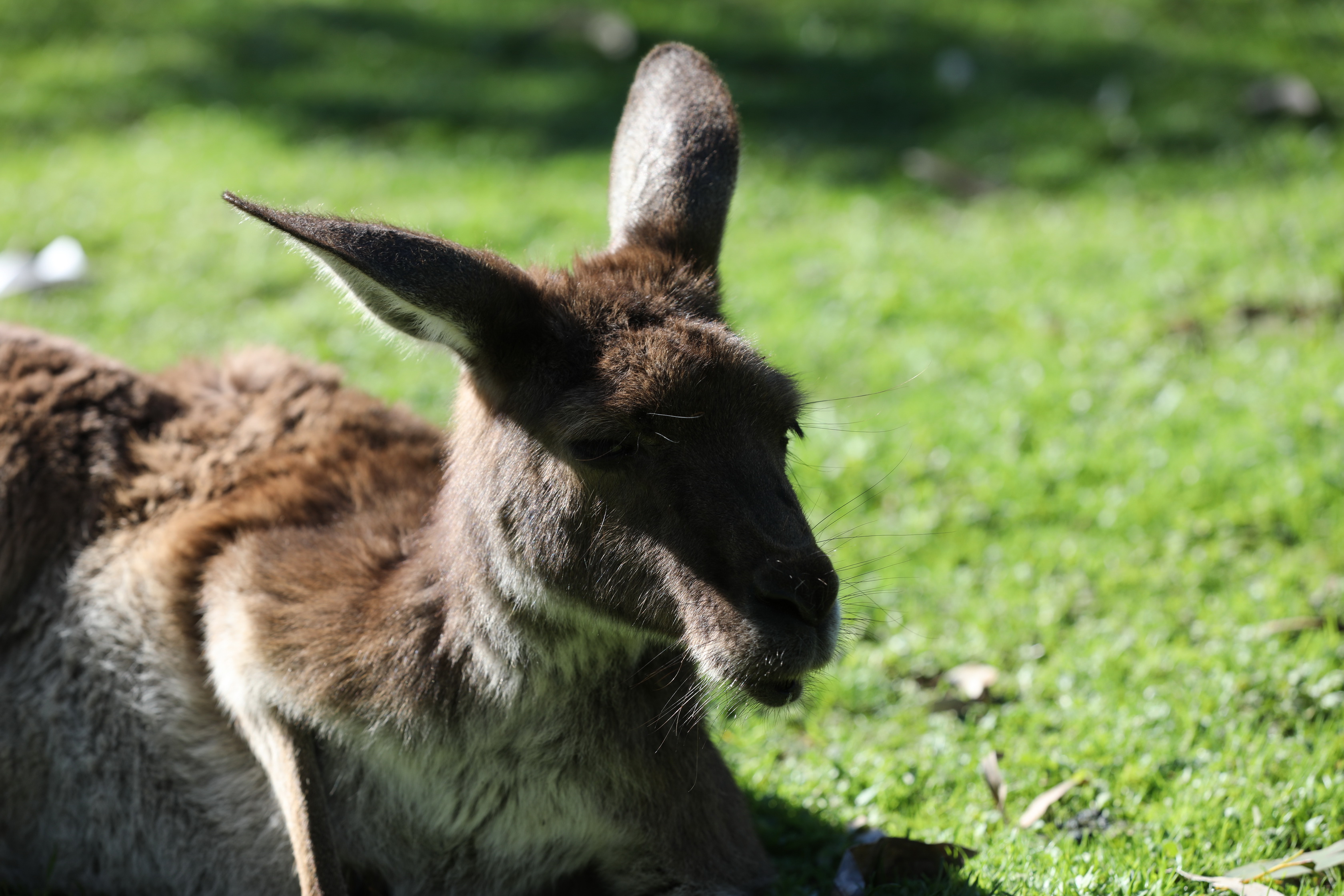 2019 07 19 13 58 51 Canon EOS 5D Mark IV 0017